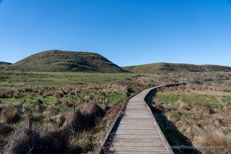 Abbotts Lagoon Trail: A Nice Escape to the Tranquil Side of Point Reyes