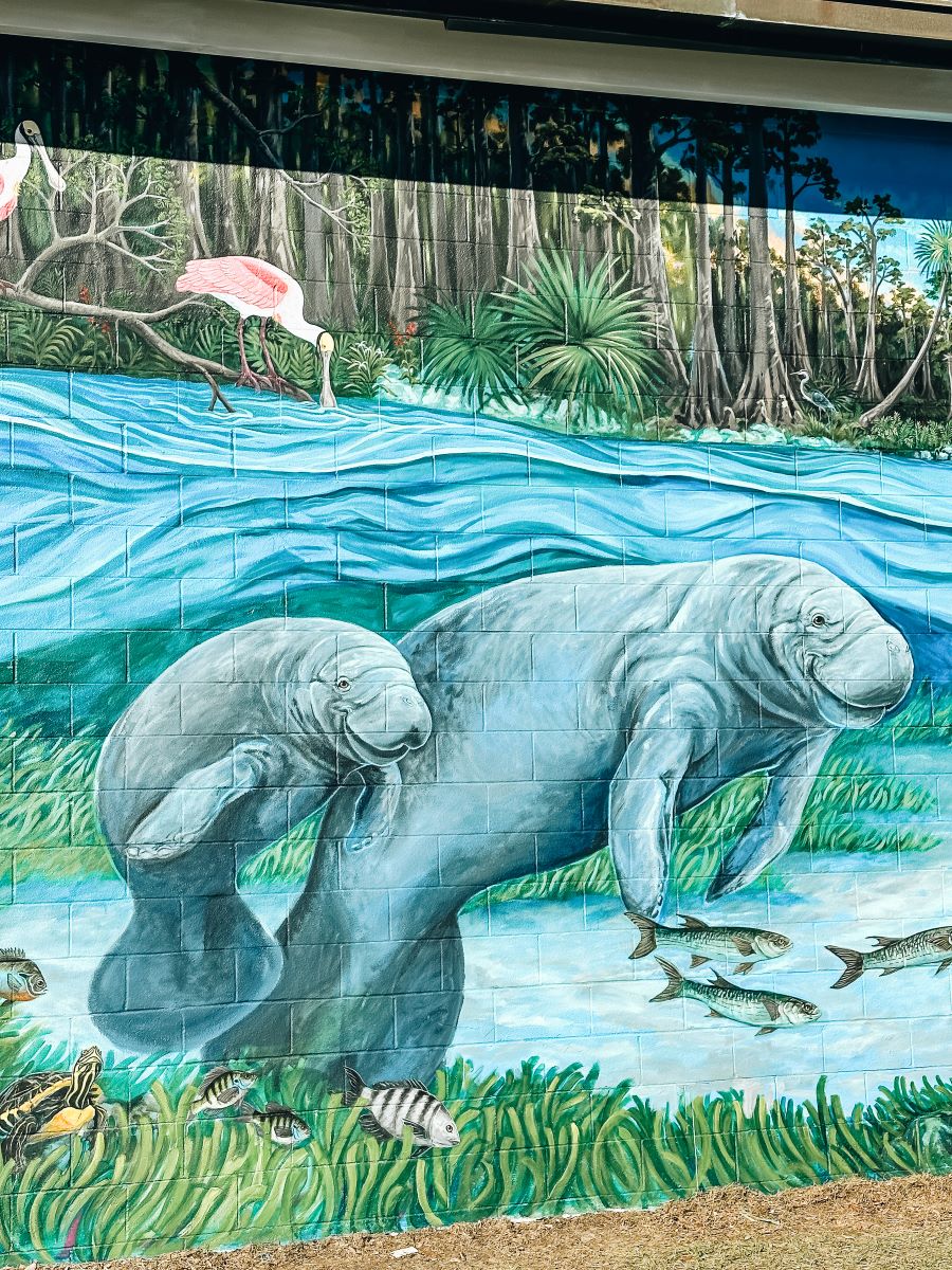 Crystal River Street Art Manatee