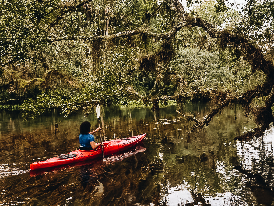 Chassahowitzka River 