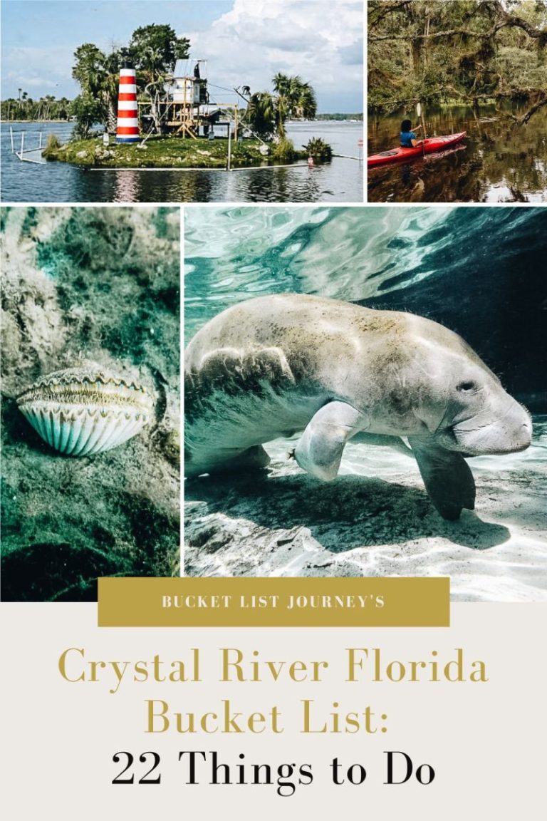 Crystal River Florida Bucket List: 22 Things to Do
