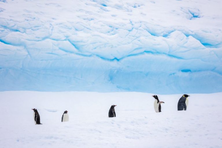 What to Pack For Antarctica as a Photographer