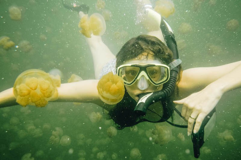 Annette White swimming in Jellyfish Lake in Palau