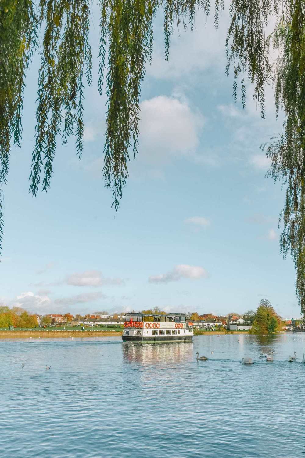 Boat tours River Thames