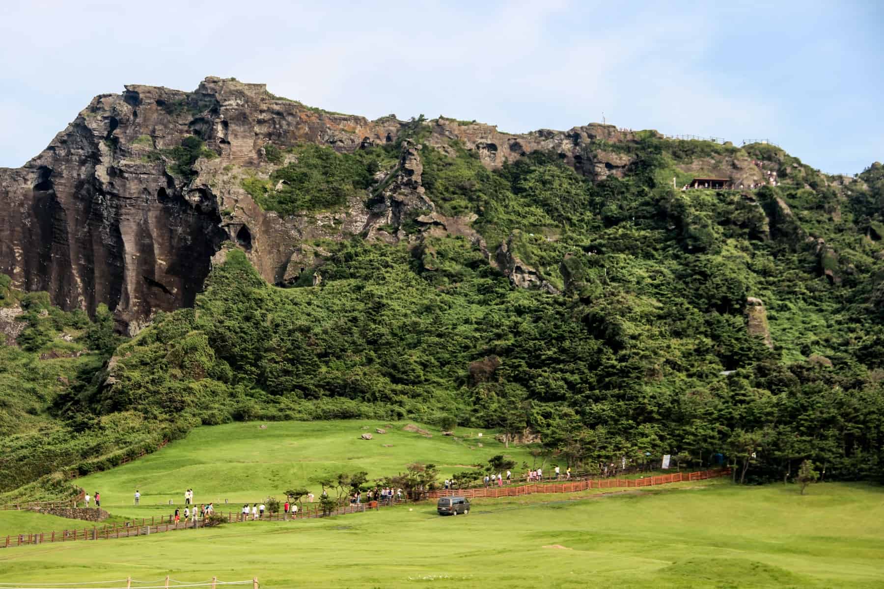 A close up of the high volcanic mastiff of Seongsan ilchulbong Peak, surrounded by nrnight green grass - one of the main things to do in Jeju Island 