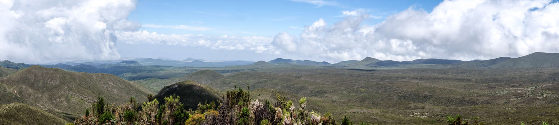 A panoramic view of the green Kilimanjaro valley bed from an elevated viewpoint of the Shira Ridge