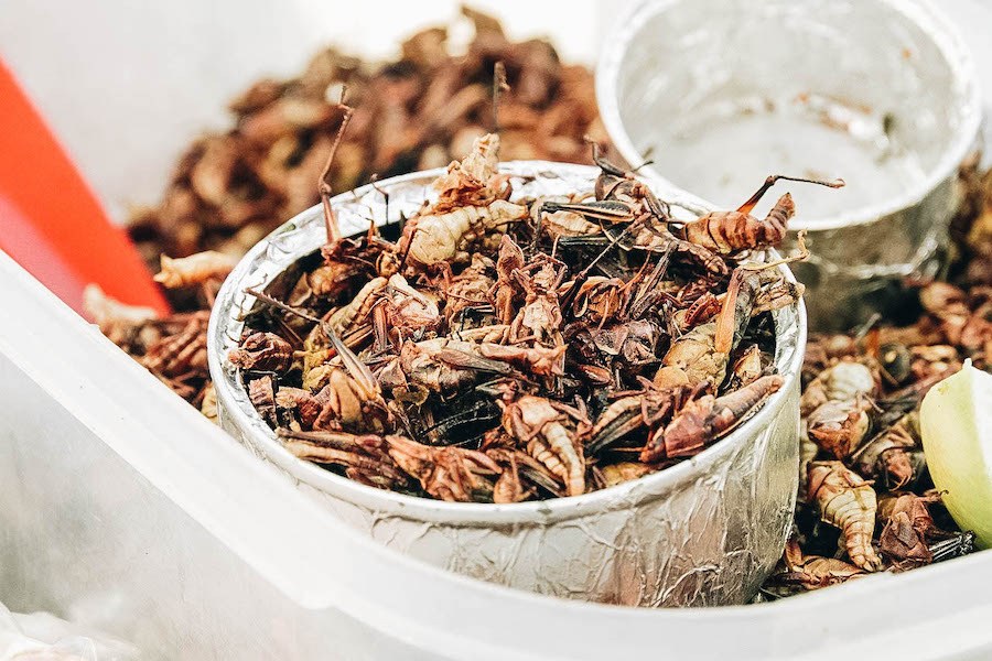 Fried grasshoppers in a bowl