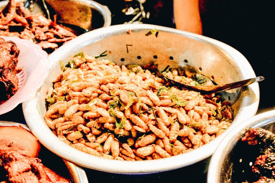 Fried Silkworms in a Bowl