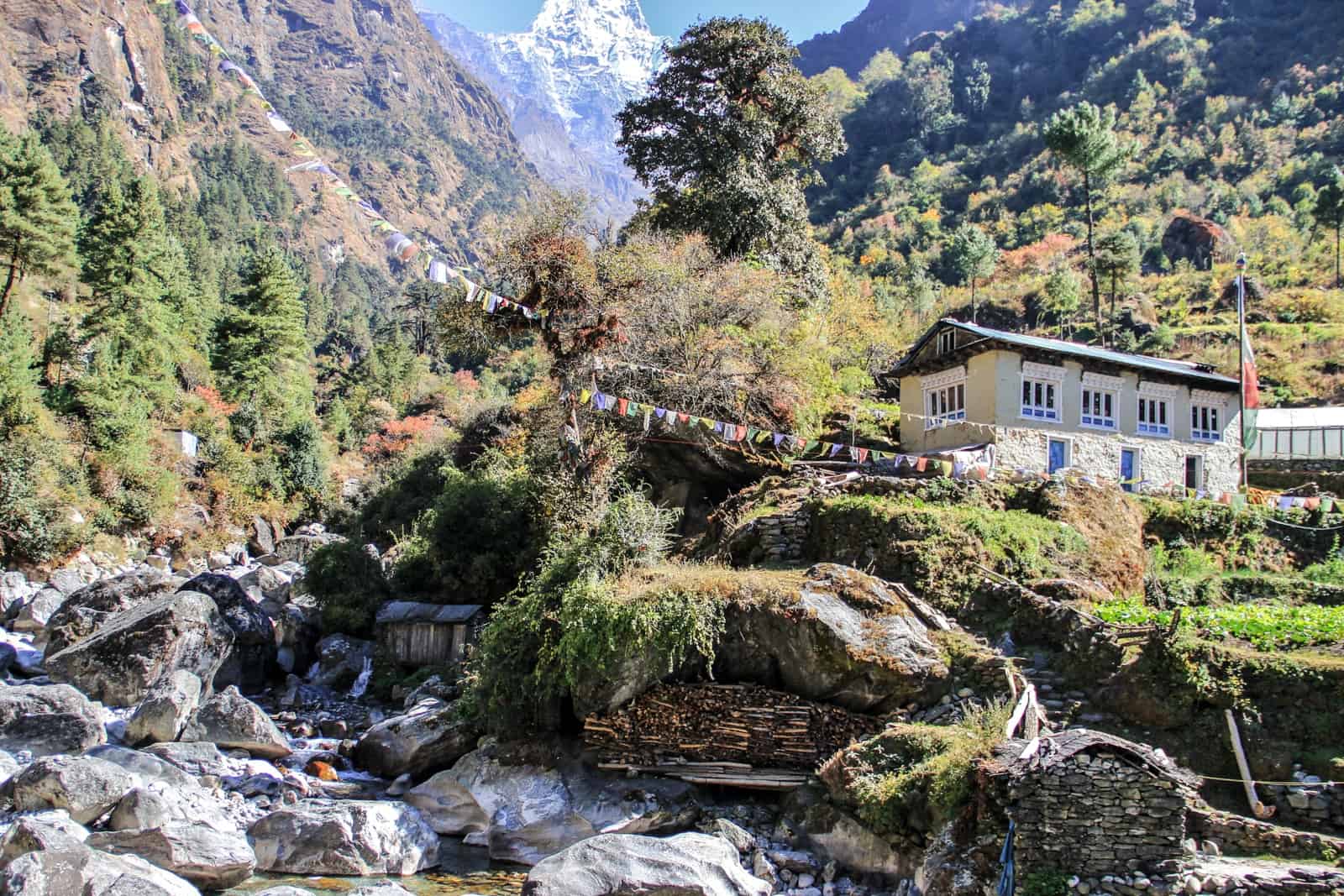 A typical Nepali teahouse on the Everest Base camp Trek route sits on an elevated green hillside next to a rocky stream. In the background the Himalaya mountain peaks poke through the forest trees