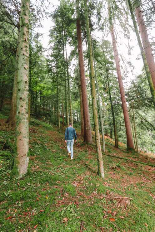 Exploring Baden-Baden And Driving Through The Black Forest Of Germany