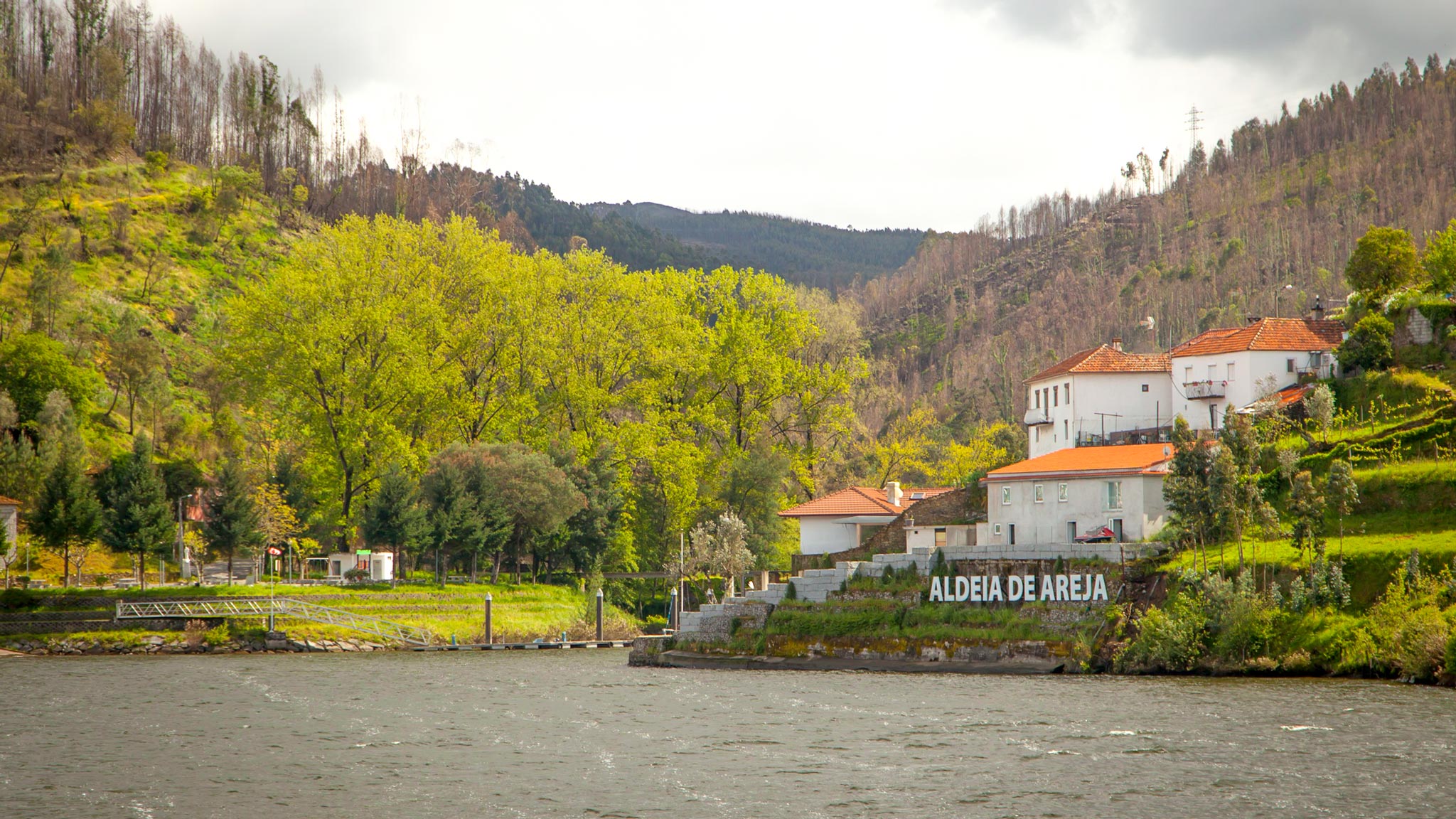 View from the boat on a Douro Wine Region cruise
