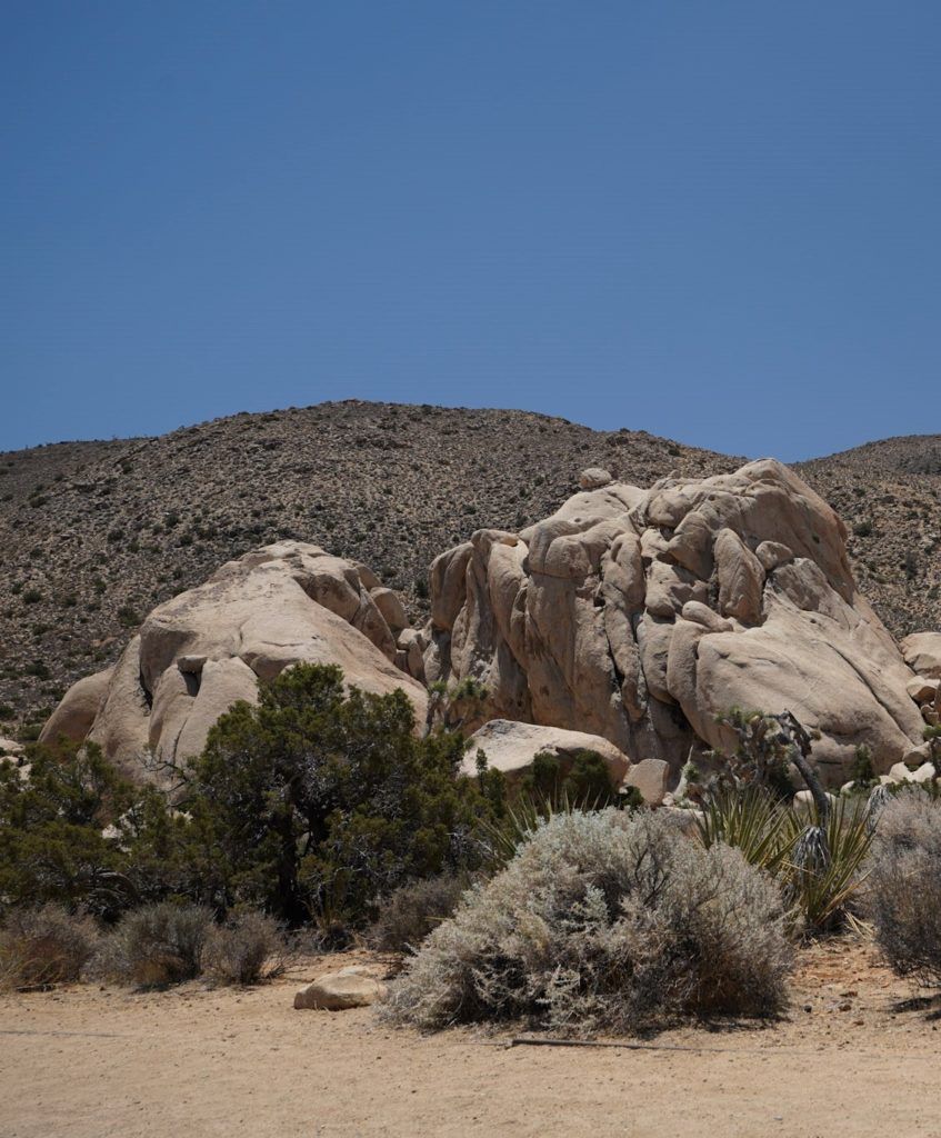The large rocks in Joshua Tree National Park.