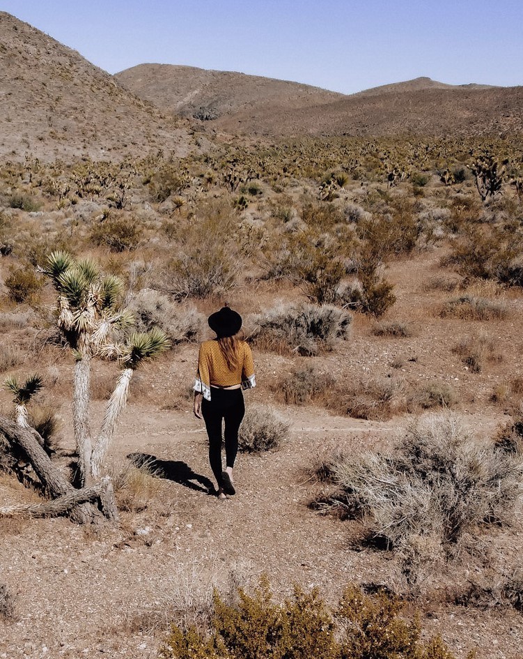 Monica walking the Mojave desert in California.