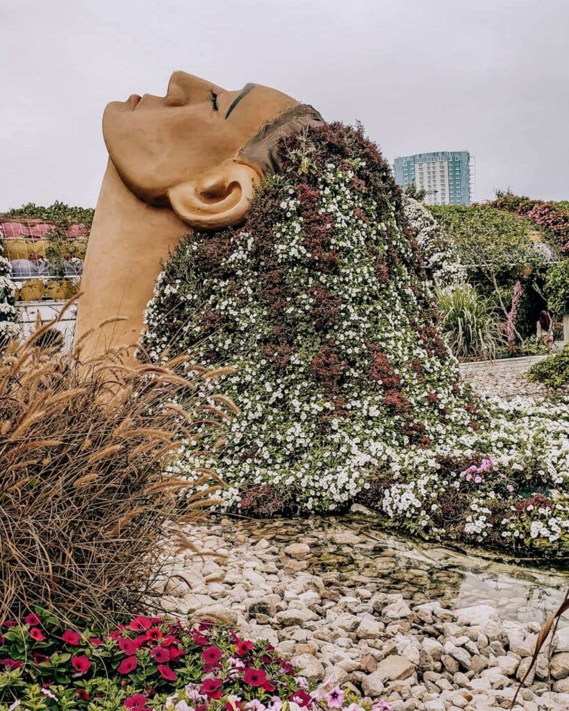 Things to do in Dubai: explore the Miracle Garden.