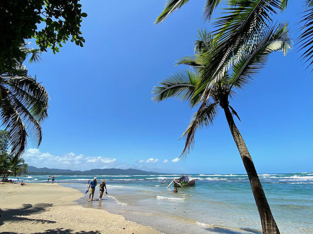 blue sky and palm trees on beach in Puerto Viejo - one of the best places to visit in Costa Rica 