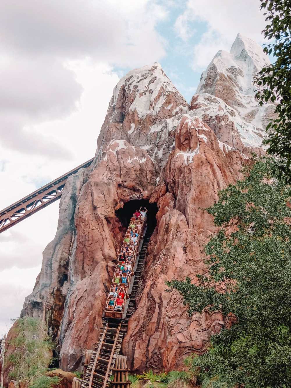 Best Theme Parks In Florida Animal Kingdom Disney Rollercoaster Everest
