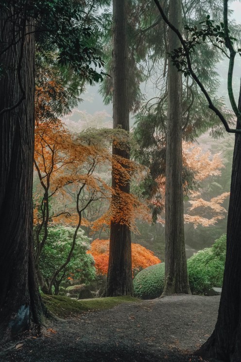 Best Things To Do In Portland Nature