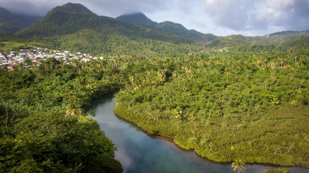 The Indian River as seen from above with the mountains of Dominica in the background