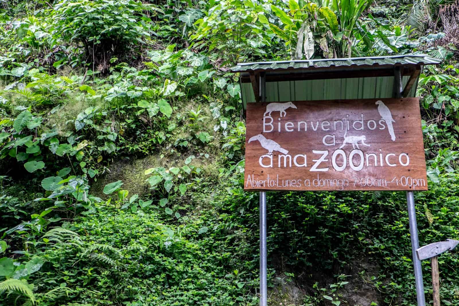 A wooden sign against a jungle backdrop for Ecuador Amazon Rainforest Animal Rehabilitation Centre that reads 'Bienvenidos a amaZOOnico'.
