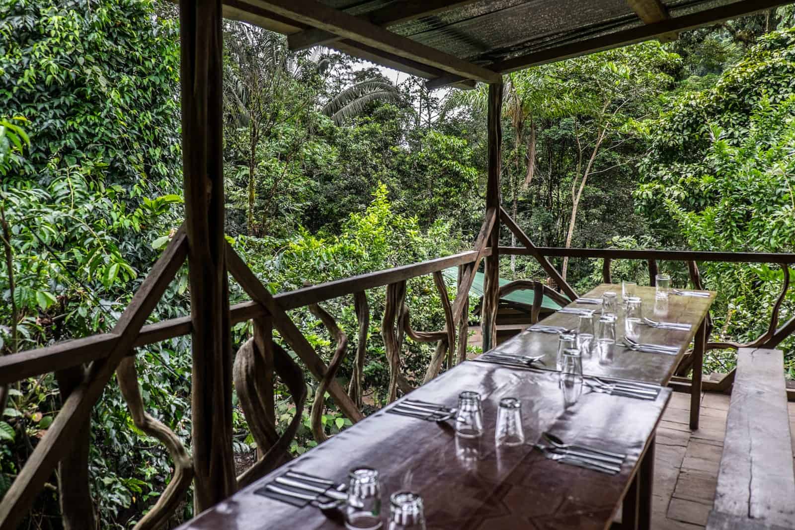 A long table with glasses and cutlery inside a wooden hut, surrounded by the dense Ecuador Amazon Jungle foliage. 