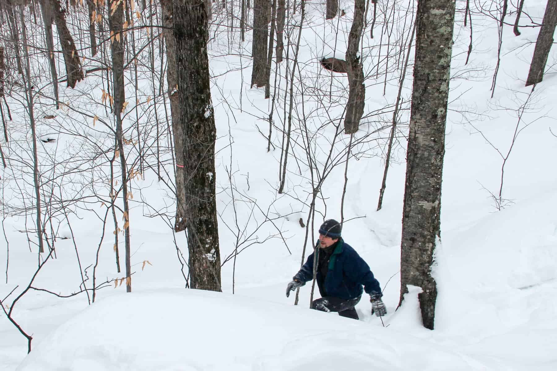 A man in dark clothing snowshoeing through deep forest snow in the Mont Tremblant hills. 