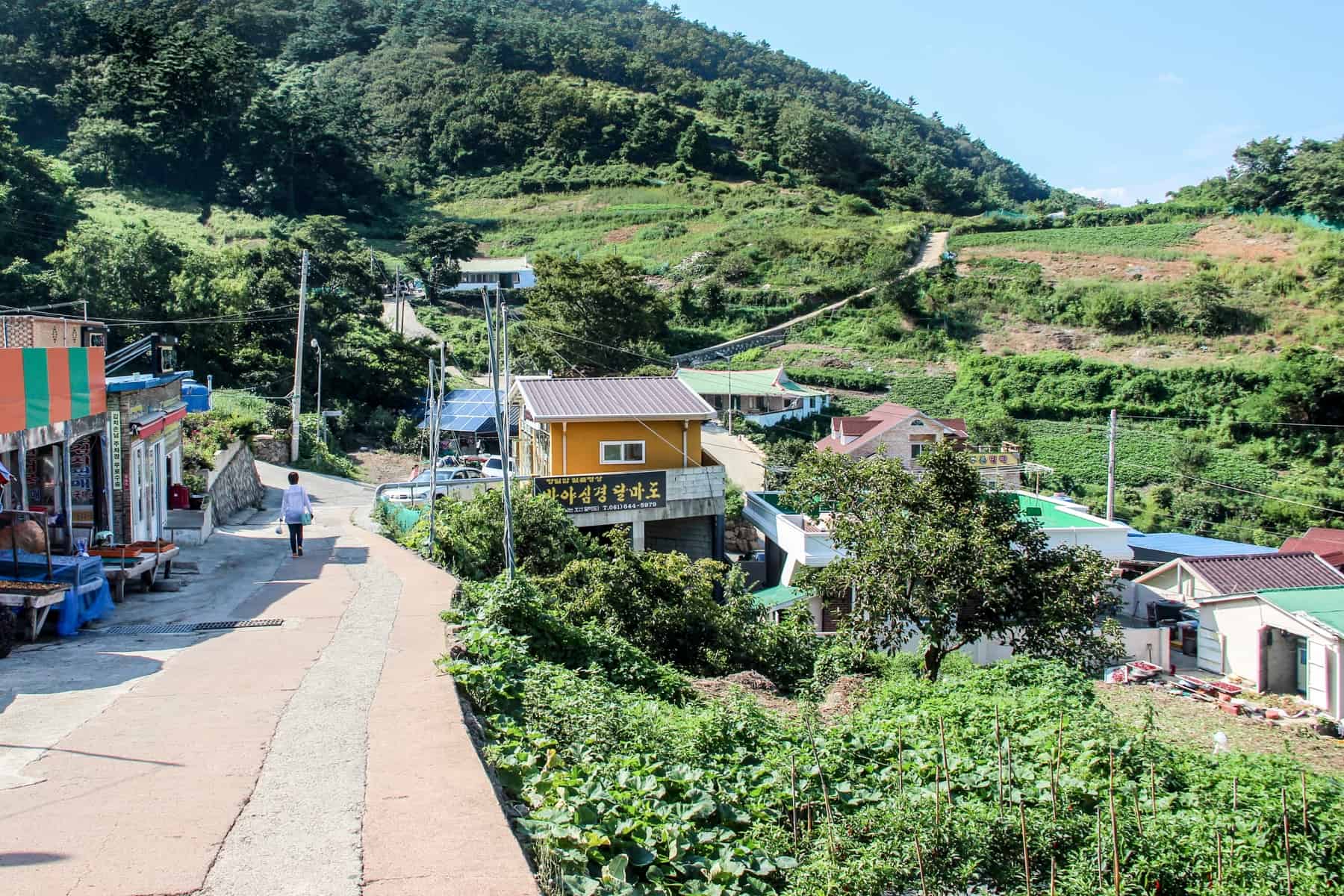A walking path lined with small houses in a forest covered village in Yeosu South Korea. 
