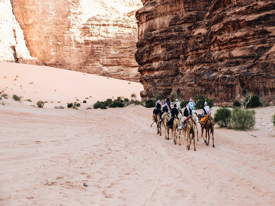 Camel Caravan at Wadi Rum
