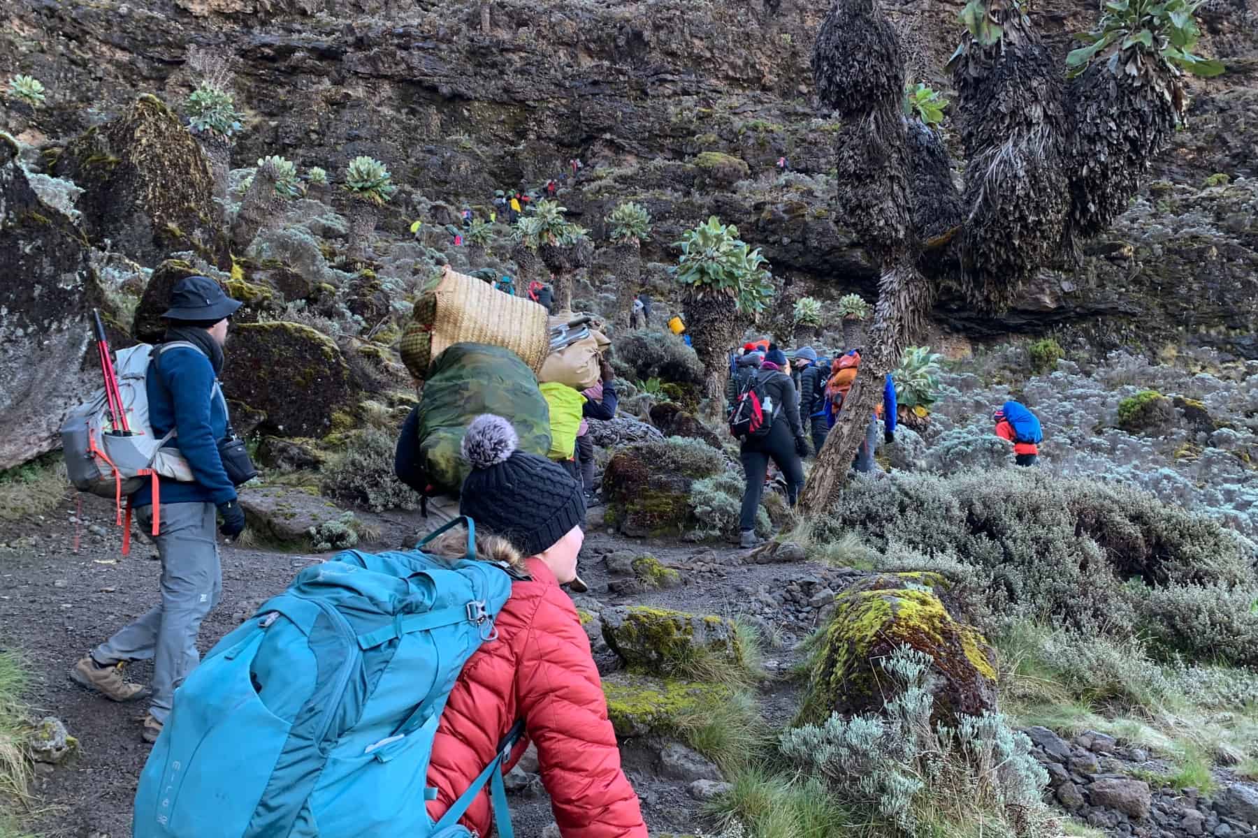 A woman in a red jacket and blue backpack clambers over low rocks and vivid green bushes towards a large rock wall where other people are walking
