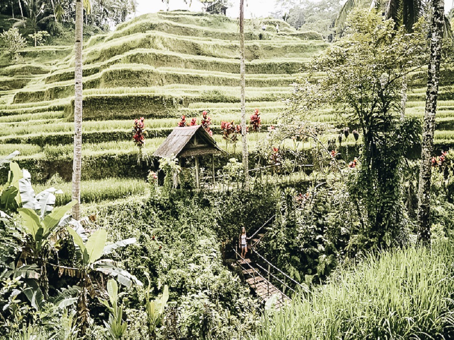 Tegalalang Rice Terraces