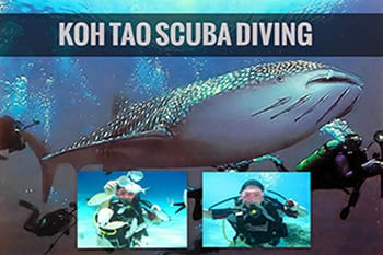 Thailand_guide_koh-tao-scuba-diving