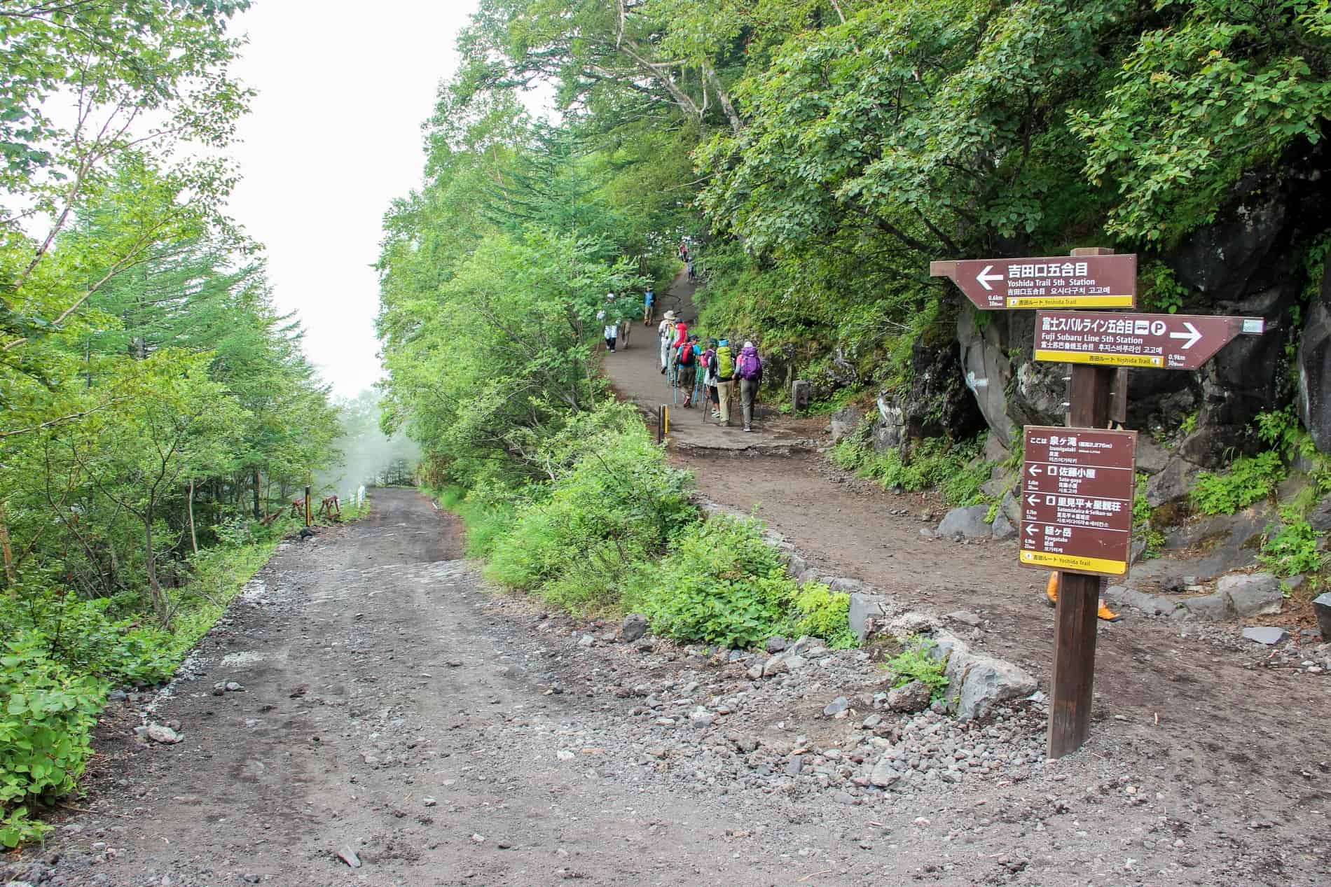 Hikers ascend a trail to the right past a signage board, leading up into a forest on Mount Fuji. 