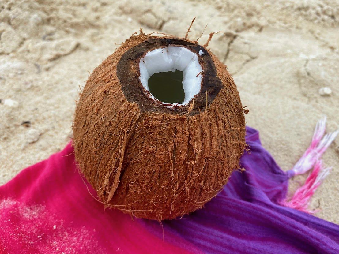 brown coconut open on a beach towel