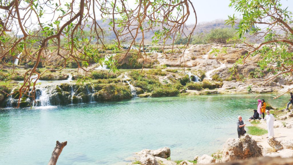 Wadi Darbat near Taqah is one of the best places to visit in Oman | David's Been Here